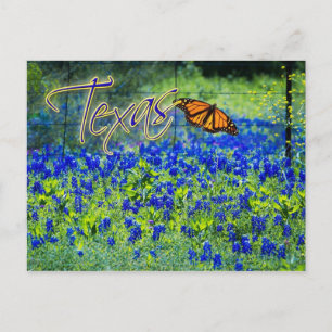 Postal Flor del Estado de Texas - Bluebonnets