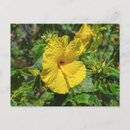 Postal Flor estatal amarilla Hibiscus Hawaii