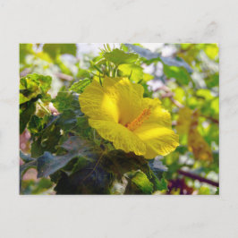 Postal Flor estatal amarilla Hibiscus Hawaii