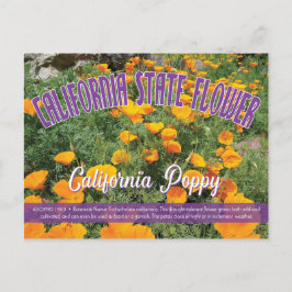 Postal Flor estatal de California, la amapola de Californ