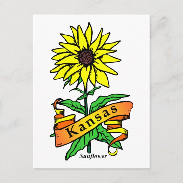 Postal Flor estatal de Kansas (Anverso)