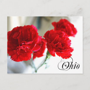 Postal Flor Estatal de Ohio: Carnación Roja