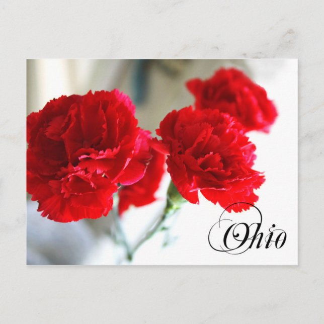 Postal Flor Estatal de Ohio: Carnación Roja (Anverso)