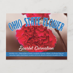 Postal Flor estatal de Ohio, el clavel escarlata
