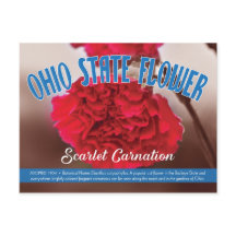 Flor estatal de Ohio, el clavel escarlata