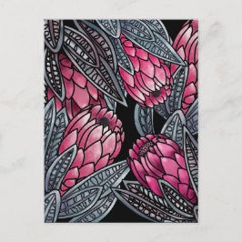 Postal Flor exótica Protea rosa