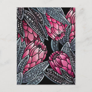 Postal Flor exótica Protea rosa