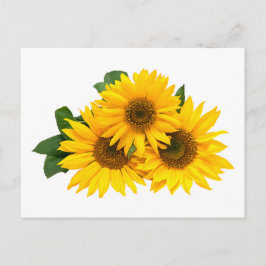 Postal Flor floral de girasoles amarillos - Hola, amor