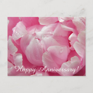 Postal Flor floreciente romántica rosada del peony con