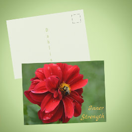 Postal Flor Fotográfica de Dalia Roja y Abejorro