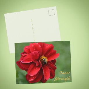 Postal Flor Fotográfica de Dalia Roja y Abejorro