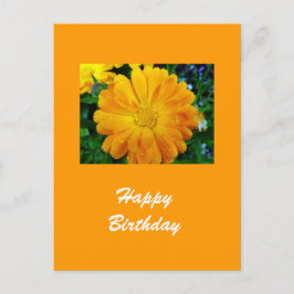 Postal flor gerbera amarilla