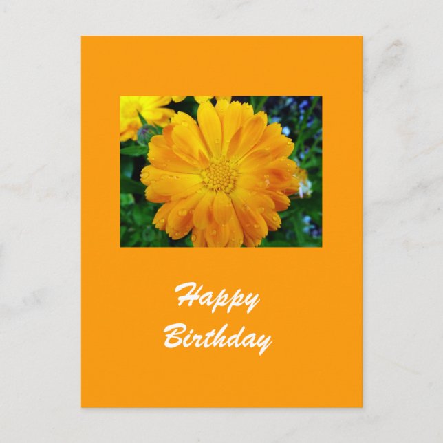 Postal flor gerbera amarilla (Anverso)