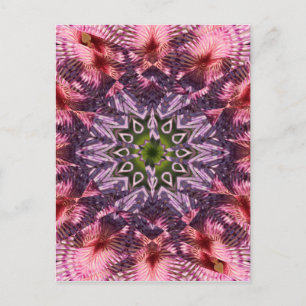 Postal Flor Giro Mandala 2015