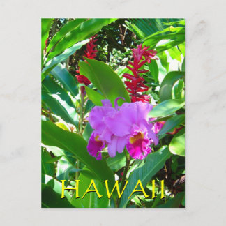 Postal Flor hawaiana púrpura tropical