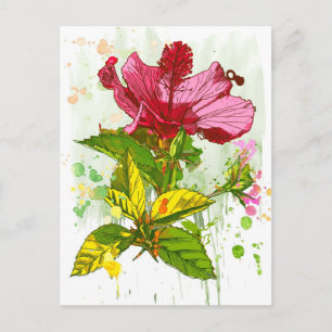 Postal Flor hibiscus - pintura acuarela