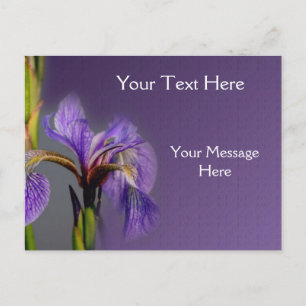 Postal Flor Iris de bandera azul