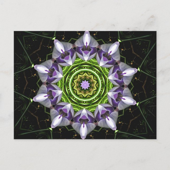 Postal Flor morada (Anverso)