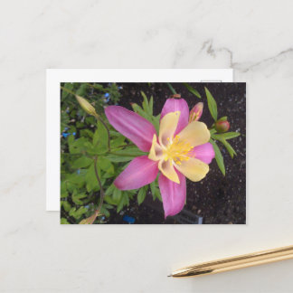 Postal Flor morada de Alaska