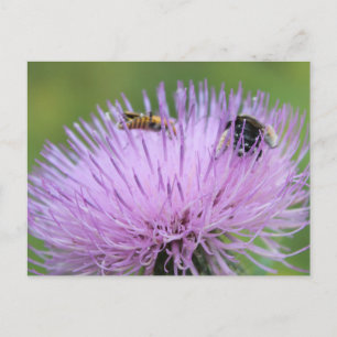 Postal Flor morada e insectos #3