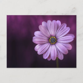 Postal Flor morada en flor