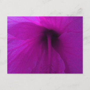 Postal Flor morada hibiscus