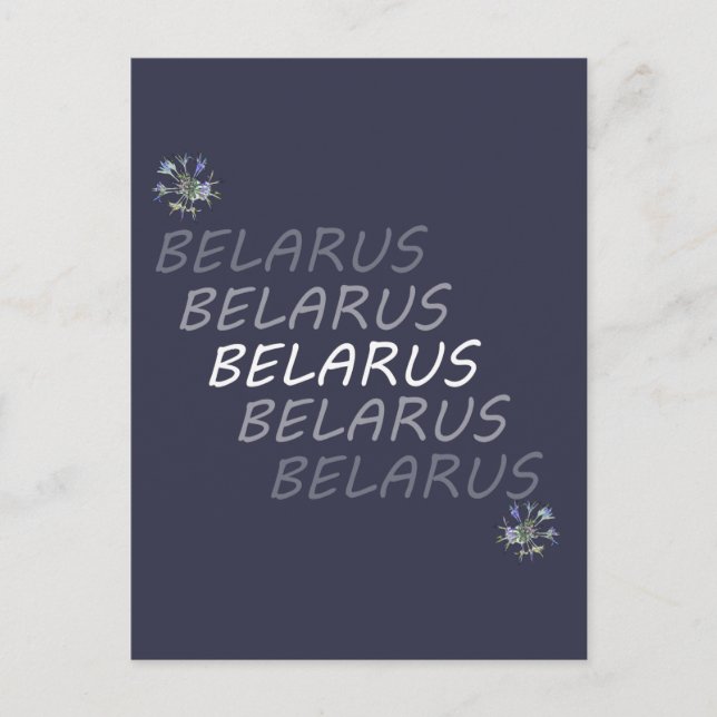 Postal Flor Nacional de Bielorrusia Centaurea (Anverso)