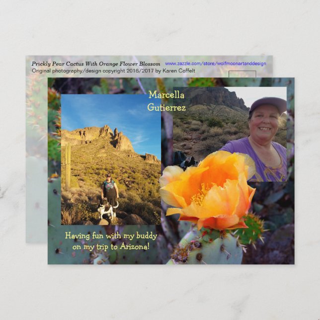 Postal Flor/ Naranja de Cactus de Pear Pricky / Arizona U (Anverso / Reverso)