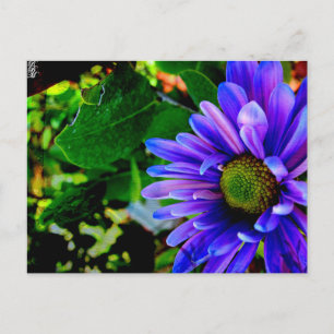 Postal Flor Púrpura Brillante