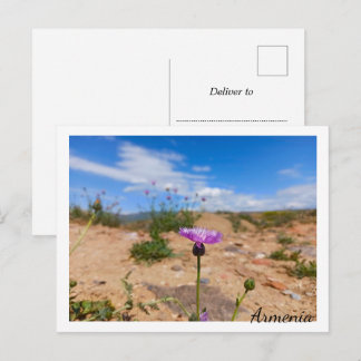 Postal Flor púrpura de Armenia
