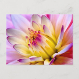 Postal Flor que se despliega