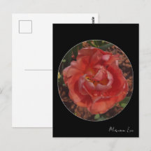 flor roja