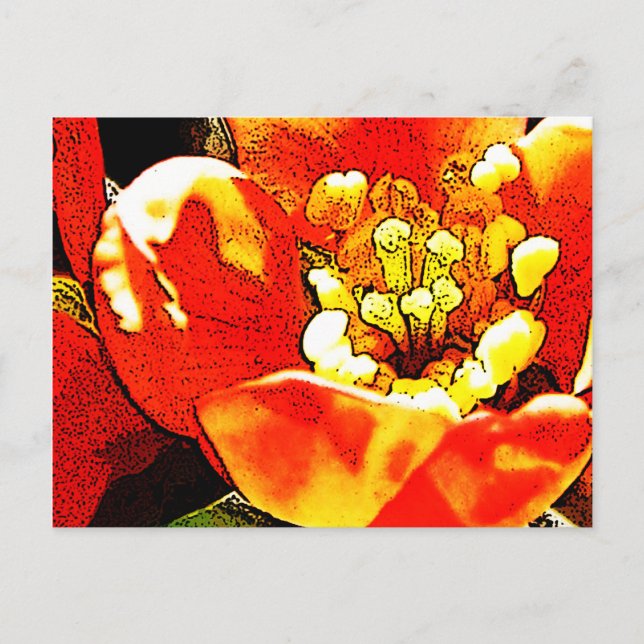 Postal Flor roja (Anverso)