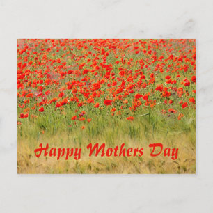 Postal flor roja de verano, día de las madres
