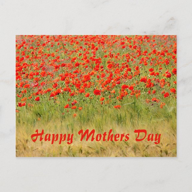 Postal flor roja de verano, día de las madres (Anverso)