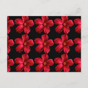 Postal Flor roja hibiscus