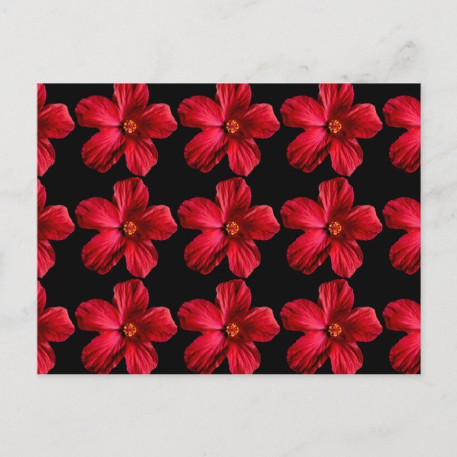 Postal Flor roja hibiscus (Anverso)