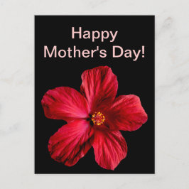 Postal Flor roja hibiscus