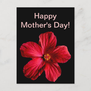 Postal Flor roja hibiscus
