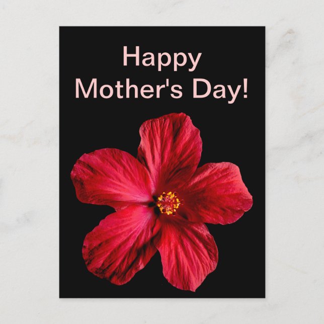 Postal Flor roja hibiscus (Anverso)