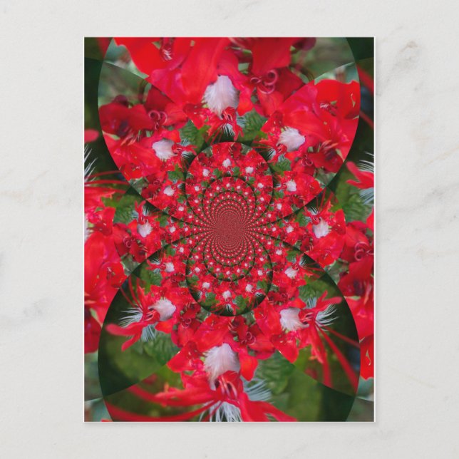 Postal Flor Roja Natural Pluma Blanca Kaleidoscope Arte (Anverso)