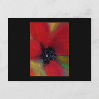 Postal Flor Roja, Poppy.