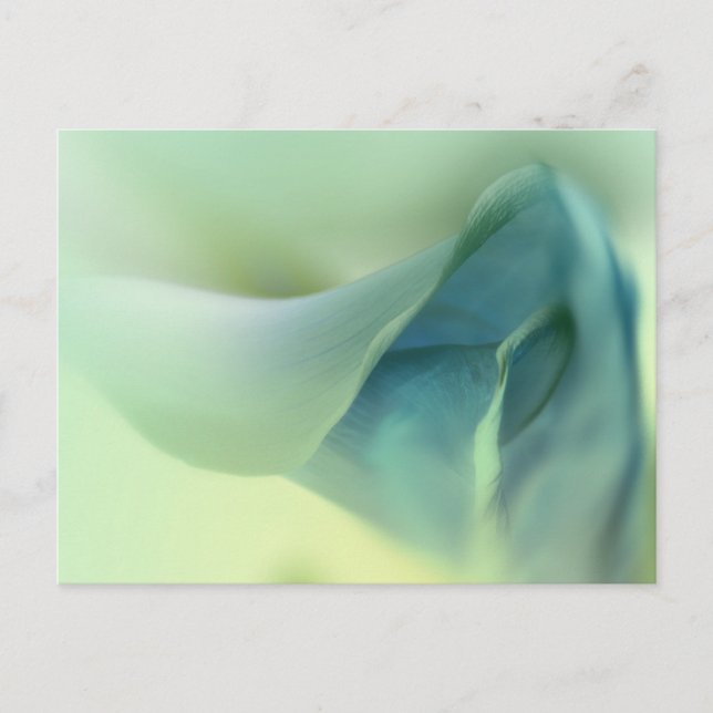 Postal Flor Romántica en Tonos Azules (Anverso)