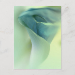 Postal Flor Romántica en Tonos Azules