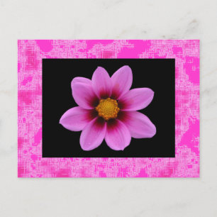 Postal Flor rosa