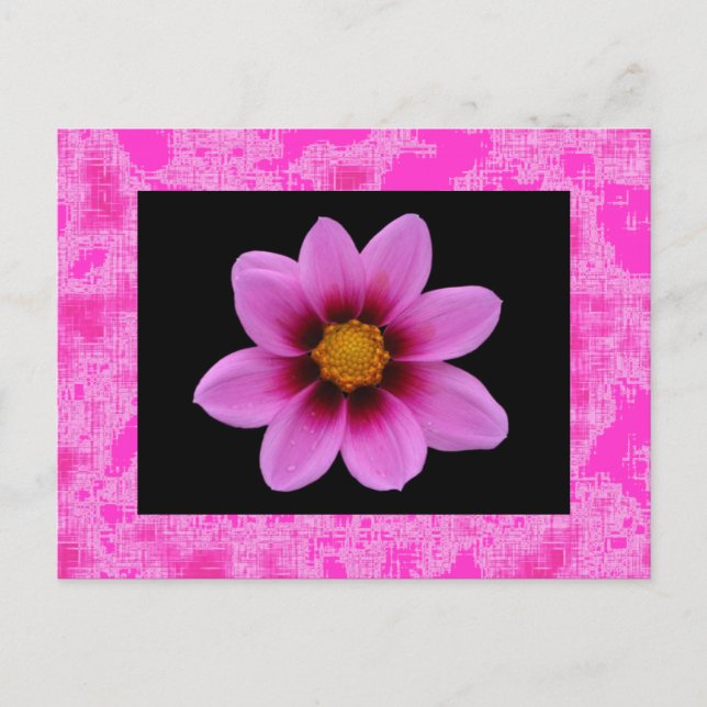 Postal Flor rosa (Anverso)