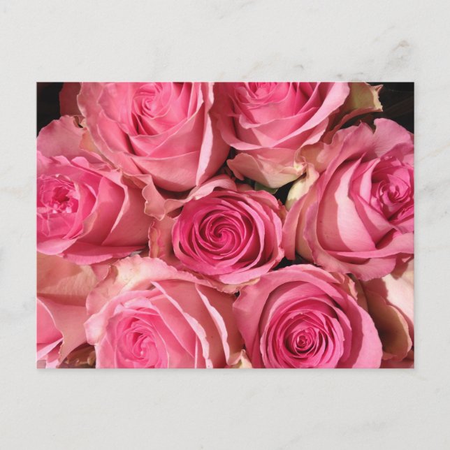 Postal Flor rosa (Anverso)