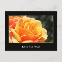 Postal flor rosa amarilla, amor y romance