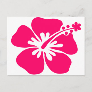 Postal flor rosa de aloha