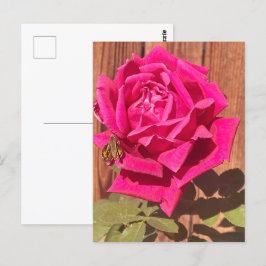 Postal Flor rosa de color elegante con flores rosadas